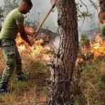 Tritan Shehu-Kadillit: Je një turp me gënjeshtrat për anti-amerikanizëm!